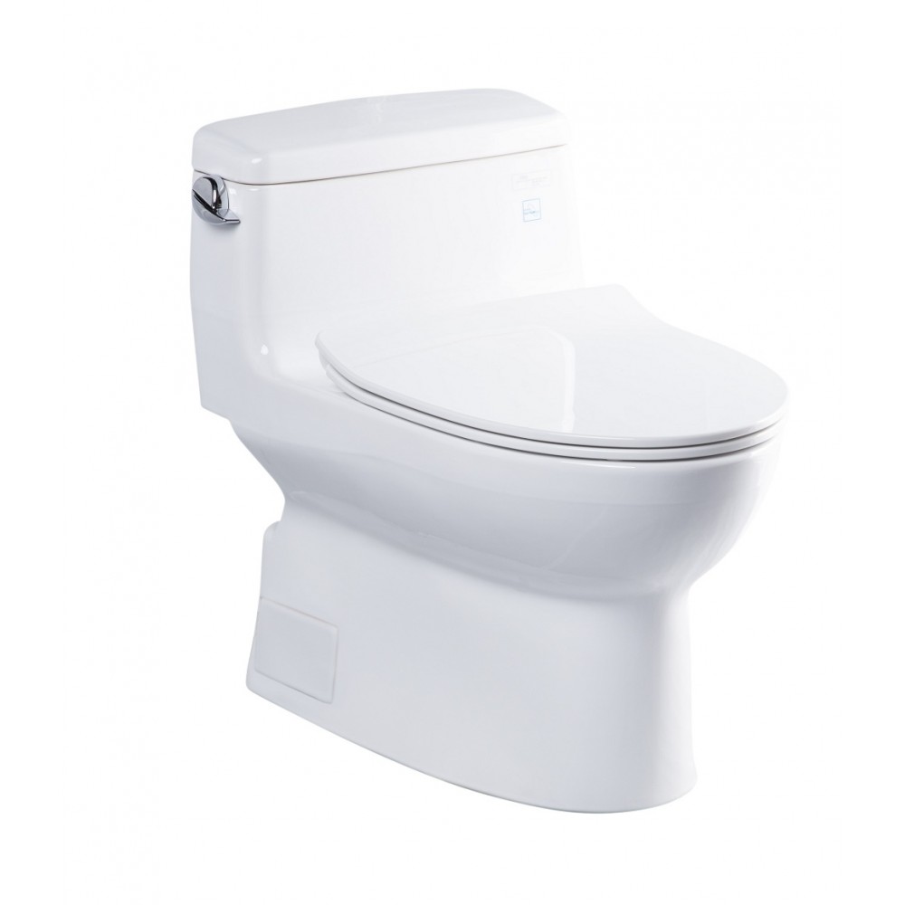 bon-cau-toto-MS884T8