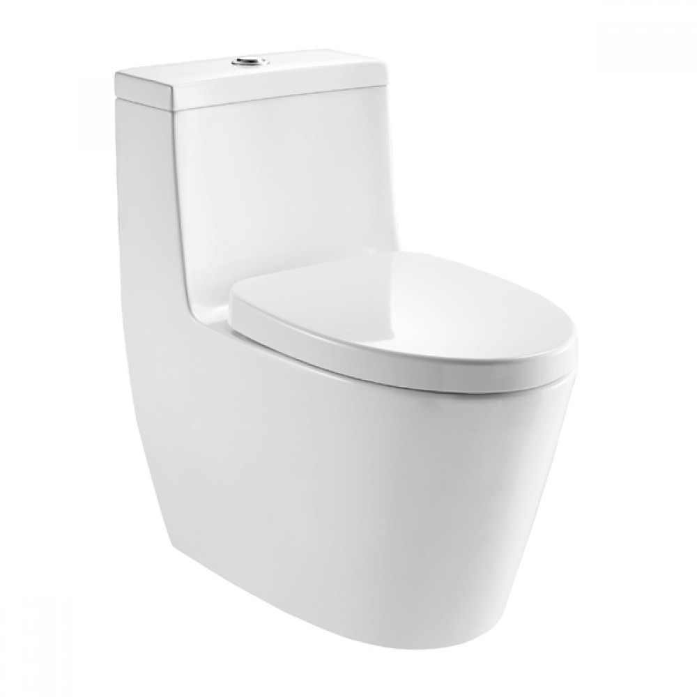 bon-cau-1-khoi-moen-SW3181C1