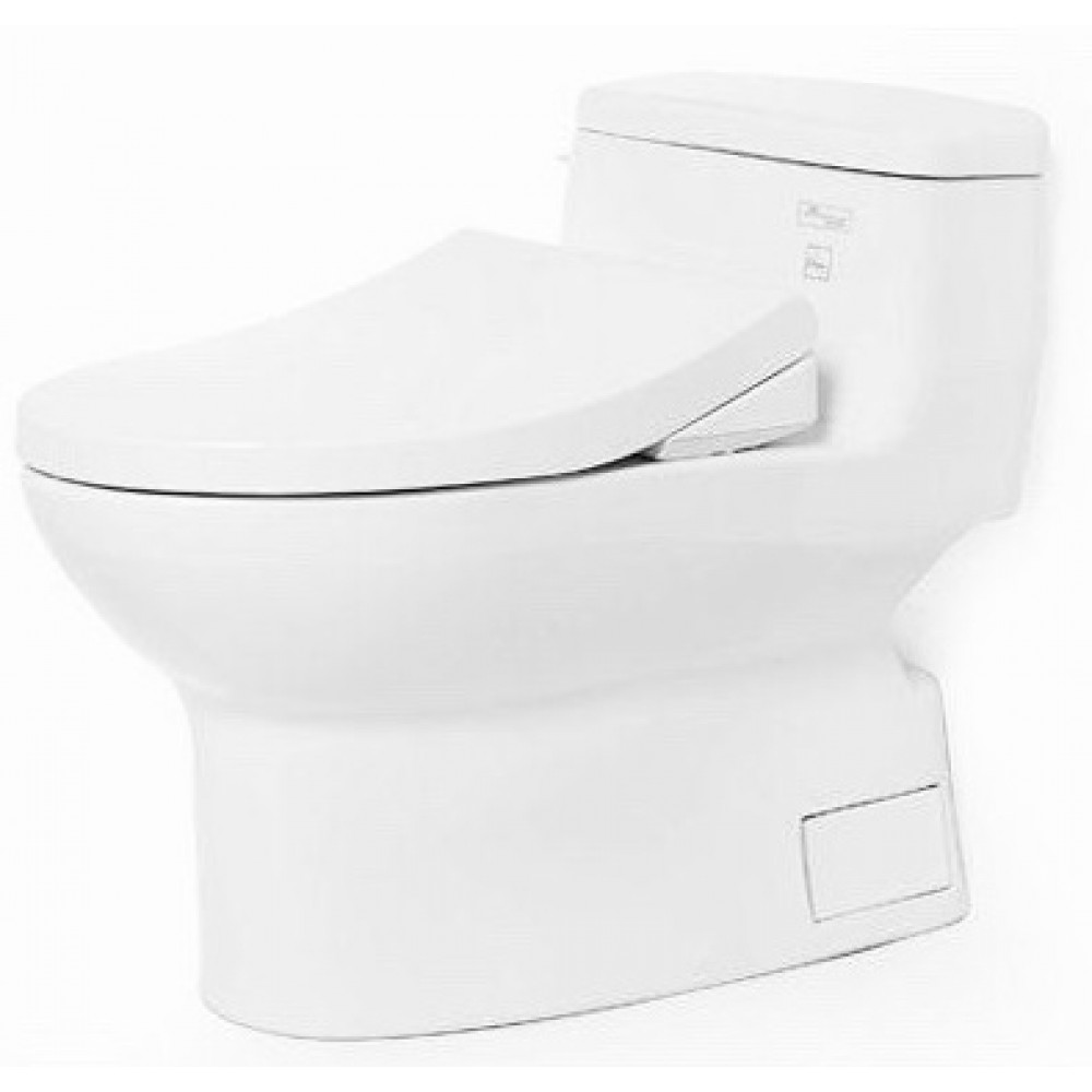 bon-cau-toto-ms884e4